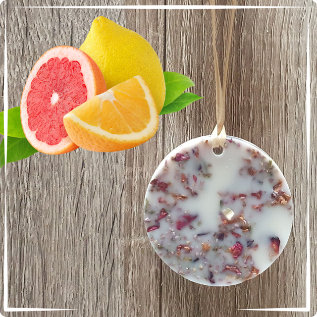 Palet désodorisant Agrumes