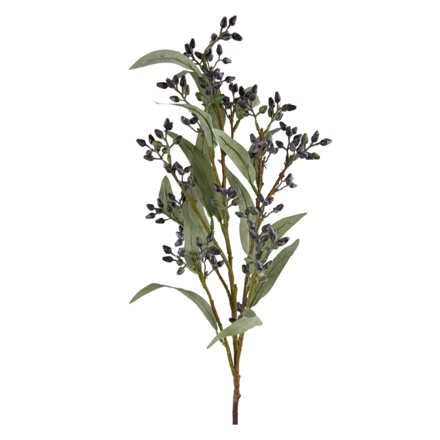 Eucalyptus bes 78 cm staalblauw