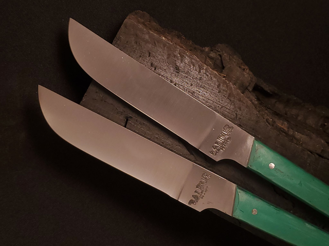 Duo de Couteaux de table Polygood