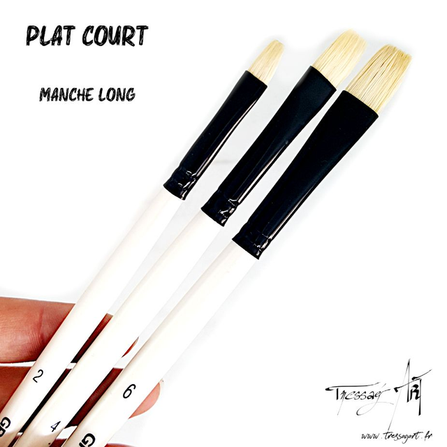 DALER ROWNEY - PINCEAU LONG UNITE - PLAT COURT - SOIE PORC - CA068