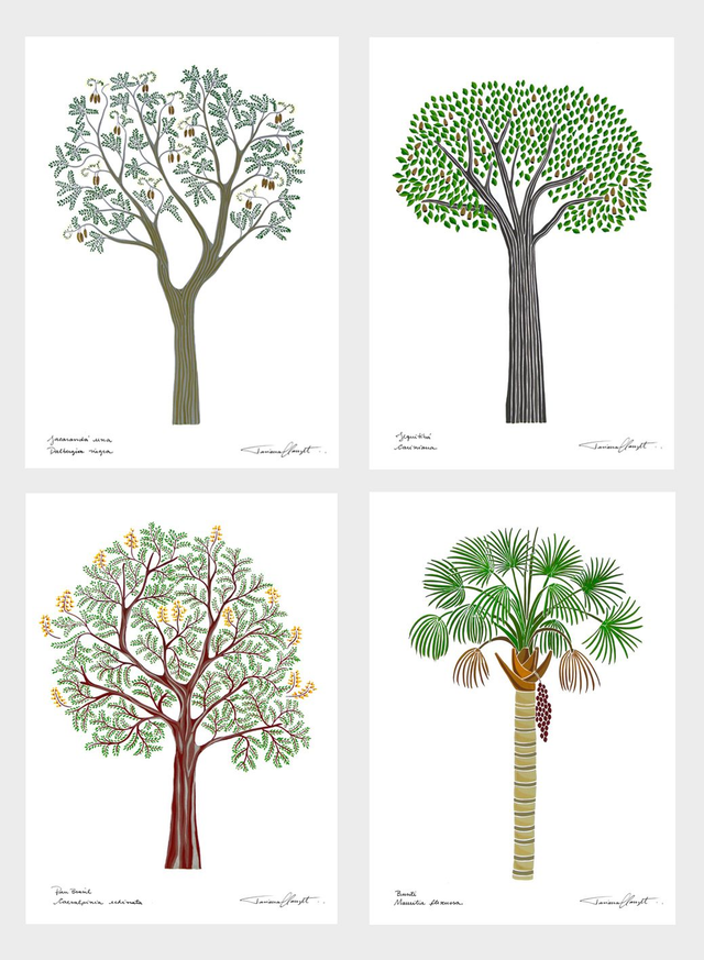 Conjunto de reproduções "ÁRVORES BRASILEIRAS - SÉRIE 3"