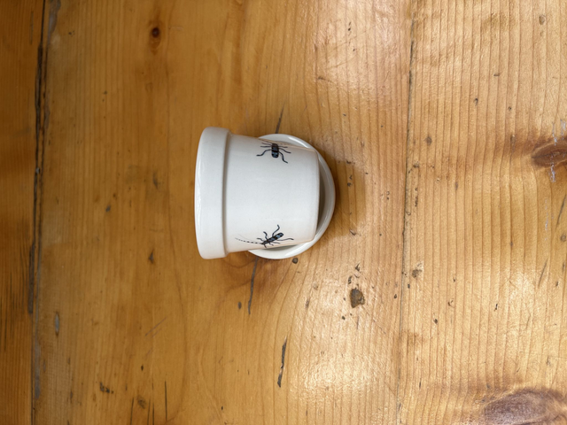 Espresso Tasse / Blumentopf - Alpenböcke