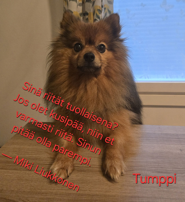 Sinä riität- digitaalinen kortti