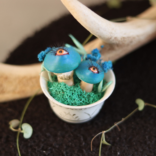 Eli et Nova, mini veilleuses mycéliennes