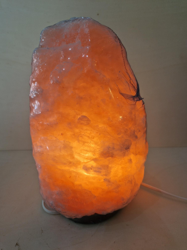 Lampe de Sel de l'Himalaya / N03-003