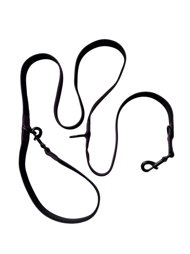Double handed leash - Purple
