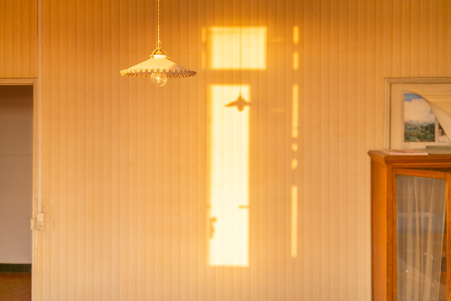 Temporary Peace in my Temporary House