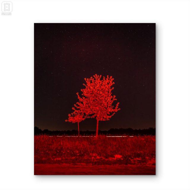 'Signal 03' Fineart print on dibond 