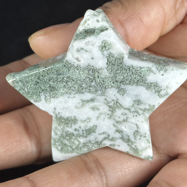 Star - Tree Agate