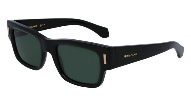 Eyewear Man Salvatore Ferragamo  SF2011S 001