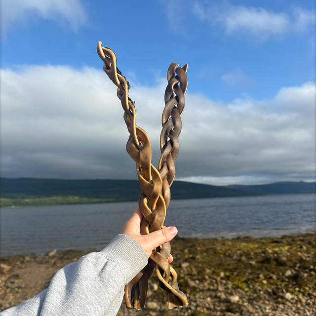 Giant Camel Braid