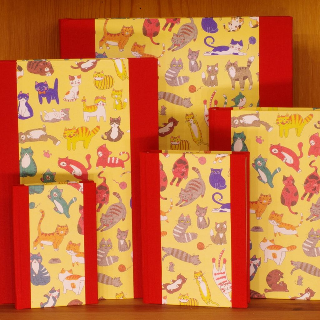 Quaderni Rosso Gatti