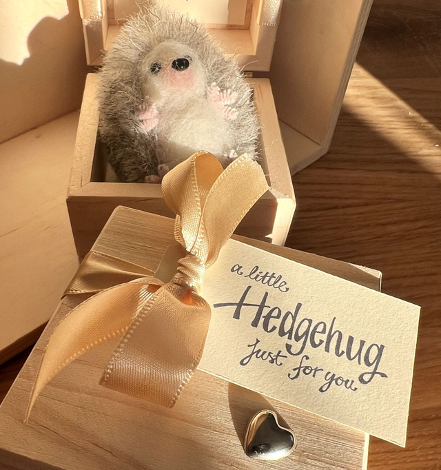 Needlefelt Hedgehug