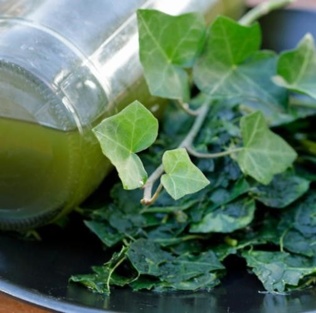 Kit de lessive au lierre grimpant