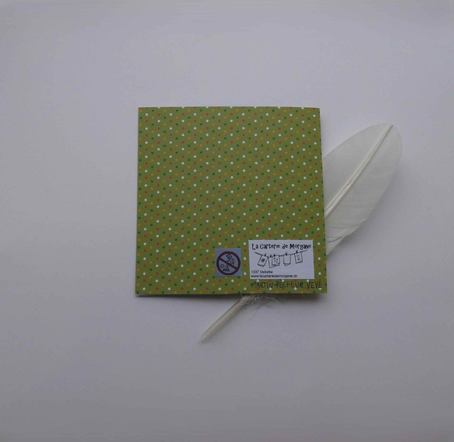 Le martin-pêcheur de Noël