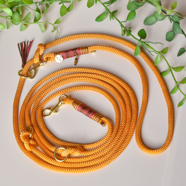 Handsfree Leiband "Honinggoud"  