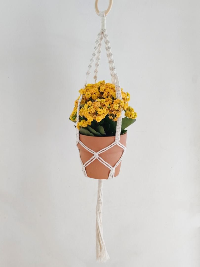 La suspension Azalée 