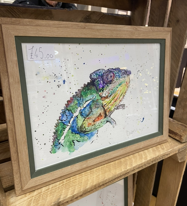 ‘Kimmy’ Chameleon Framed A4 Original Artwork 