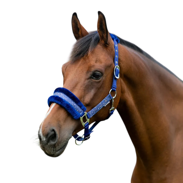 HY Dazzle Head Collar - NAVY