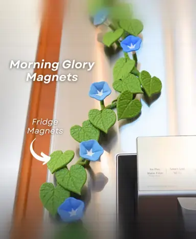 Lierre Magnetic (Série 2)