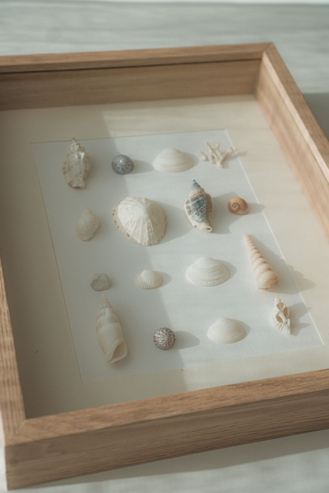Cadre coquillages