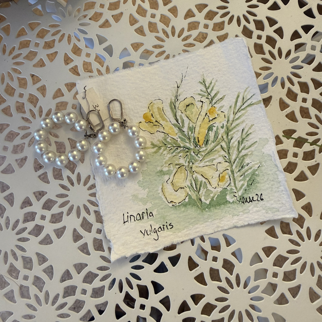 Ohrschmuck Perlen cremfarben mit Linaria vulgaris Silberverschluss