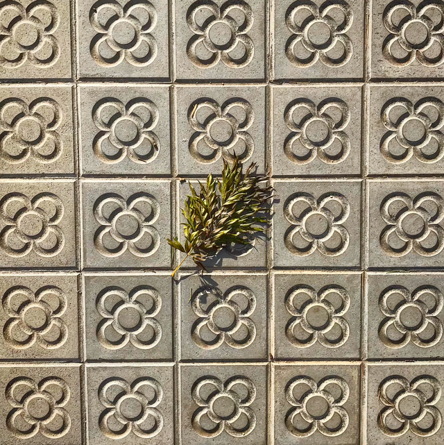 Spa Body Scrub - Gift Certificate