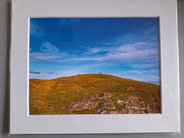 Mounted Photographs by Plantography - Earls Hill, Shropshire.