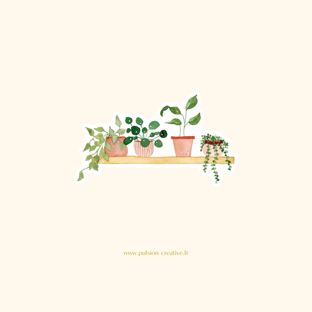 Sticker vinyle Etagère de plantes