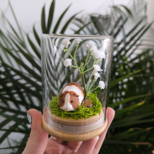 Ami protecteur - Cochon d'Inde blanc et brun (oeil de tigre)