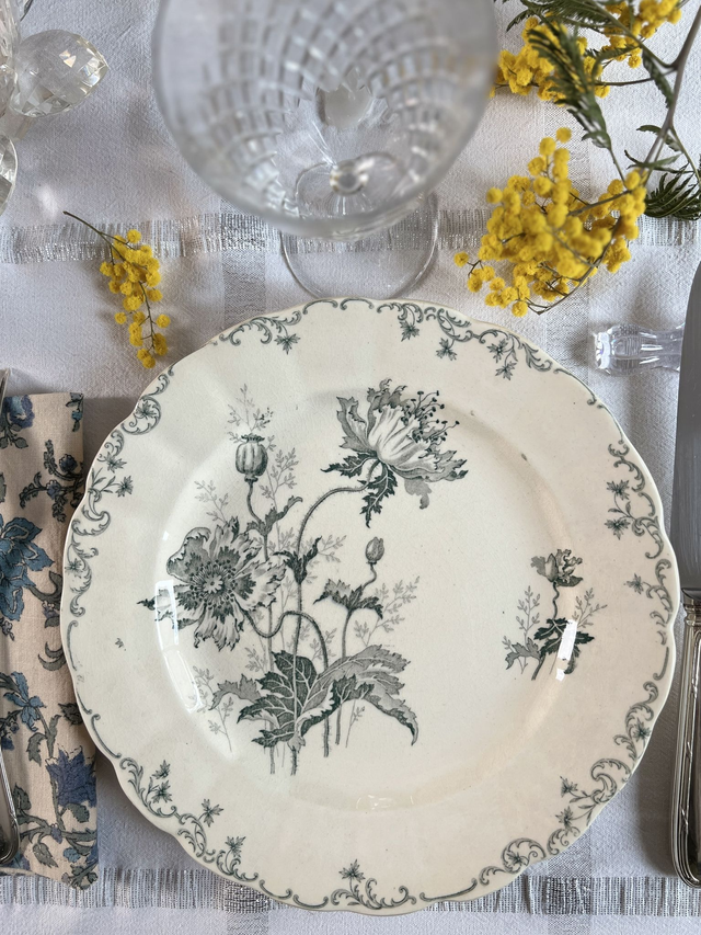 **RESERVEE**PAVOTS GRIS-VERT SET N°2 - Suite de 6 assiettes plates modèle Pavots par la manufacture française Choisy le Roi - Terre de Fer