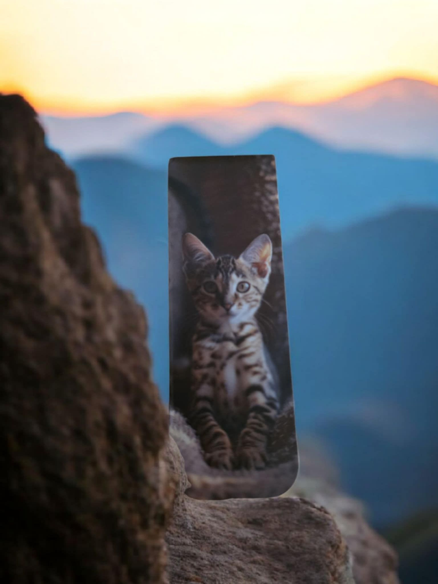 Marque page magnétique portrait de chat.B