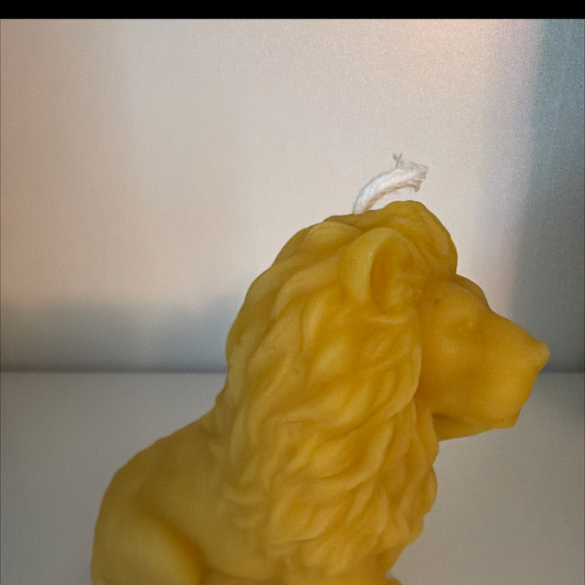 Kerze Löwe