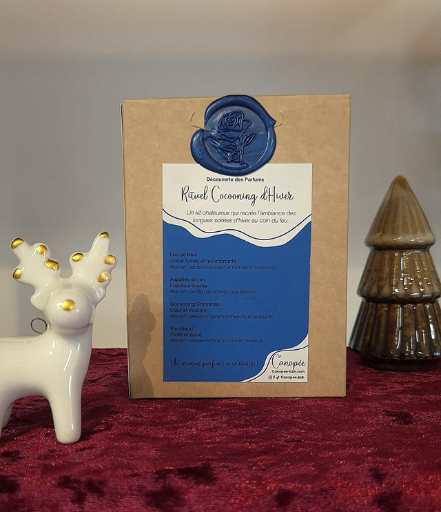 Kit fondant parfumé "cocooning d'hiver"