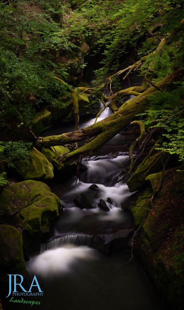 Fallen over the river 