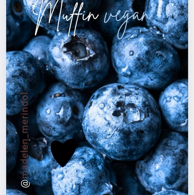 Muffin vegan Myrtilles