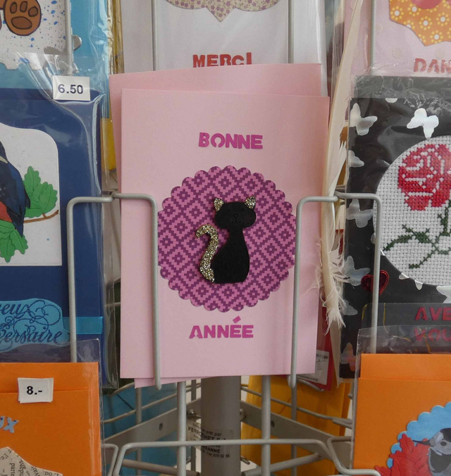 Le chat de la bonne année