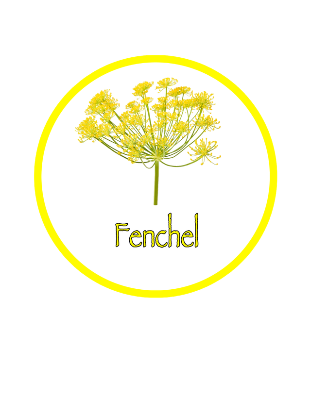 BIO Kräuterpellets Fenchel