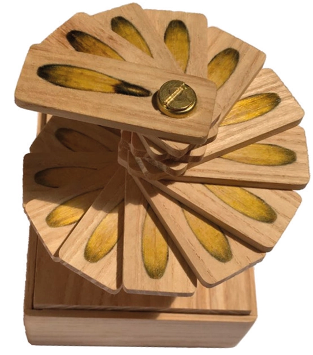 2020 Medal Nature of Man by Menno Hiele