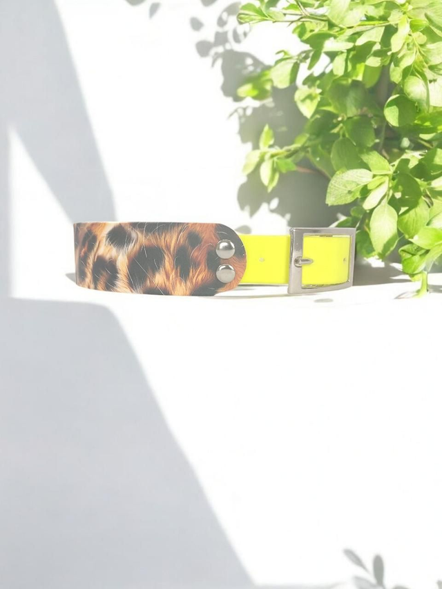 Collier pour chien en BioThane® Original USA. Real Léopard / Jaune Néon