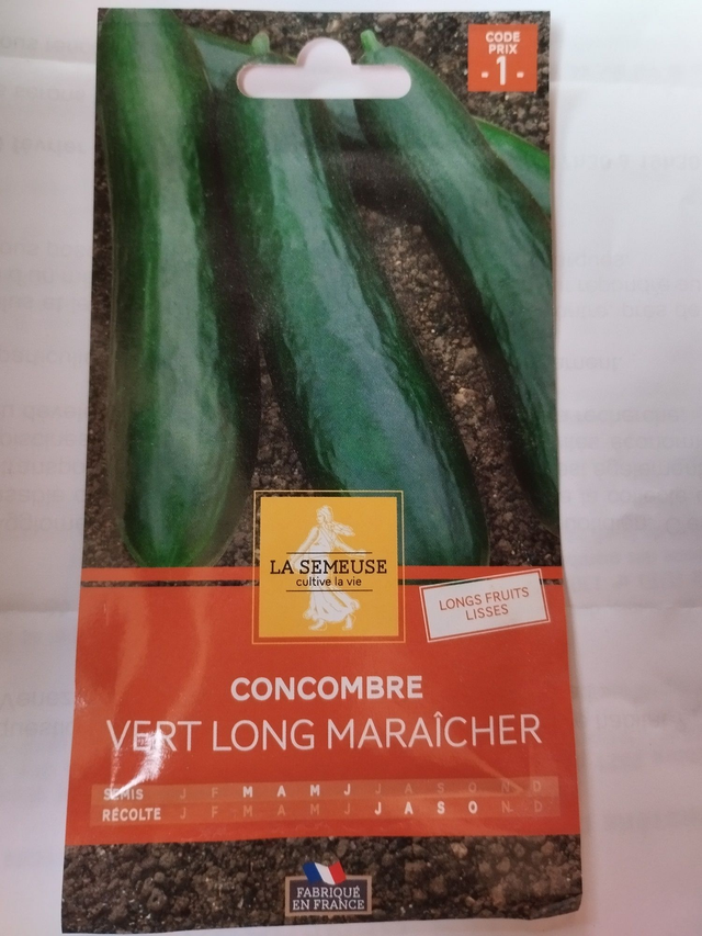 Concombre vert long maraicher