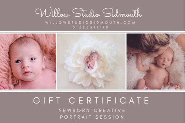 Newborn creative portrait : includes newborn session, one 8x6 print, one preview session  and a online gallery for viewing at home. 