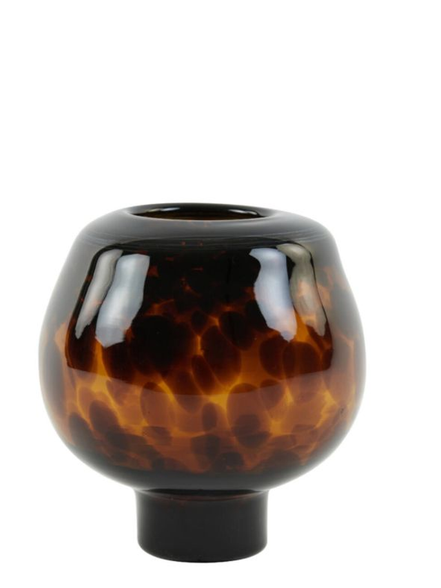 ELIA - brown tortoise hurricane