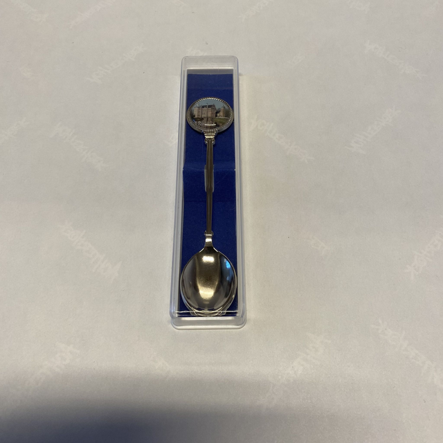 Ruurlo lepeltje kasteel