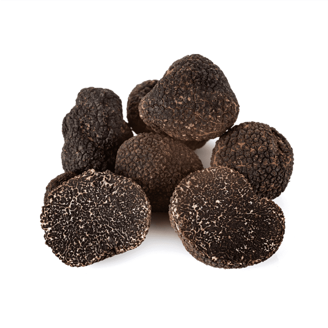 Frischer Trüffel – Schwarzer Perigord Trüffel Tuber Melanosporum