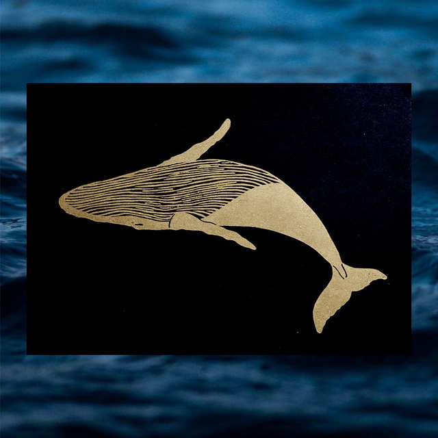 Linogravure A5 Baleine (5 coloris)