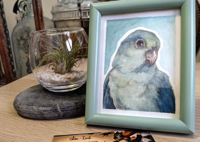 Toui Céleste, illustration originale, encadrée