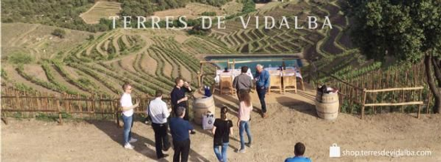 TREKKINGWINE (caminada per les vinyes i cata al mirador de 4 vins + aperitiu) - grups mínim de 6 persones. Concertar data al 649789740 sms whatsapp