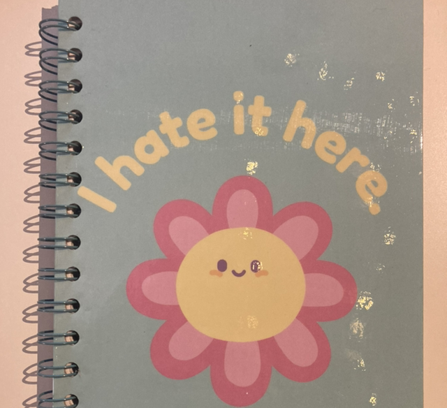 Hate it here green notebook