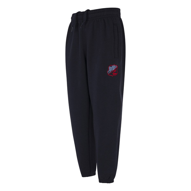 Navy Logo Jogging Bottoms